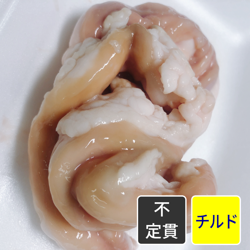 国産牛 小腸 【不定貫】 【1kg価格】