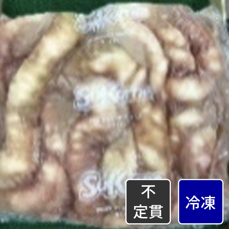 カメイ メキシコ産牛丸小腸【原木】【不定貫】【1kg価格】