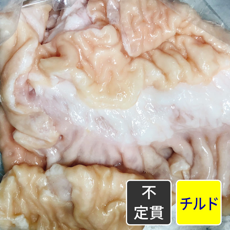 国産豚 ダイチョウ 【不定貫】【1kg価格】