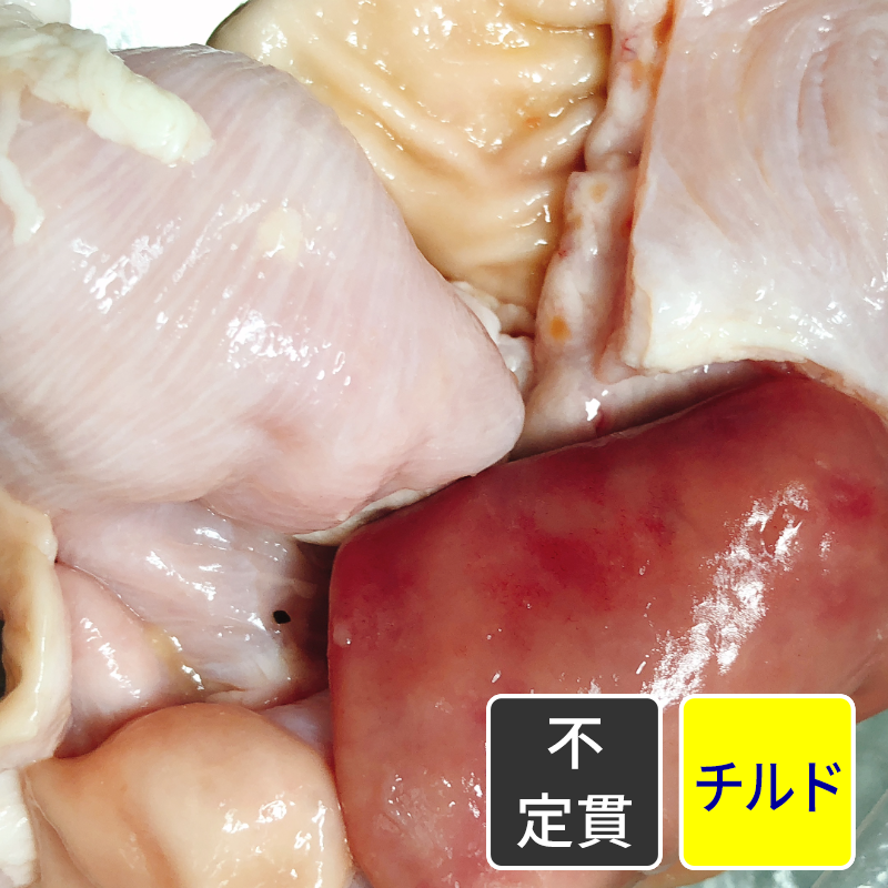 国産豚 ガツ 【不定貫】【1kg価格】