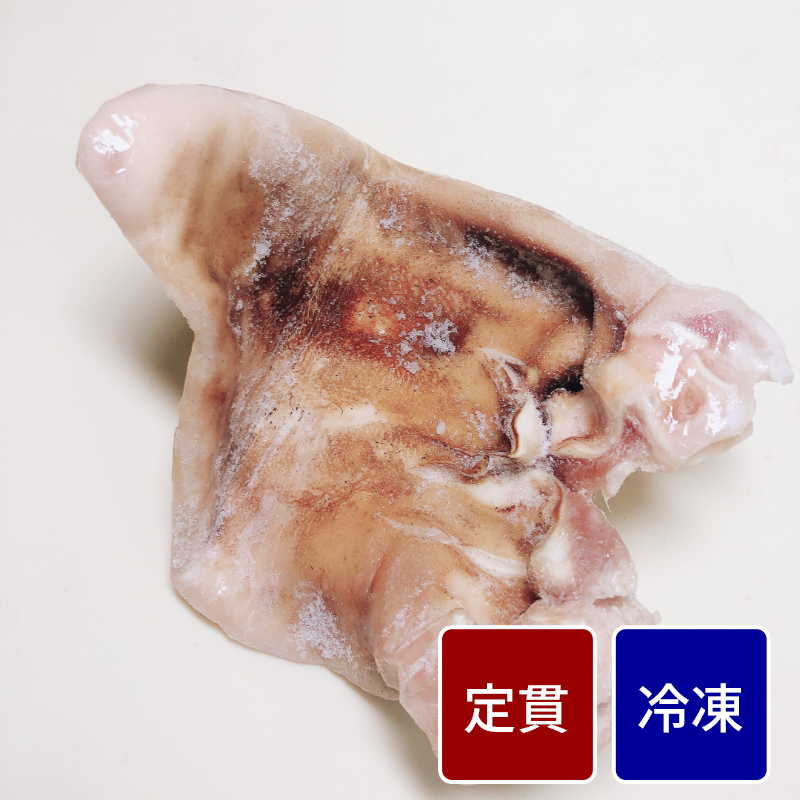 国産豚ボイルミミ 【定貫】【1枚価格】