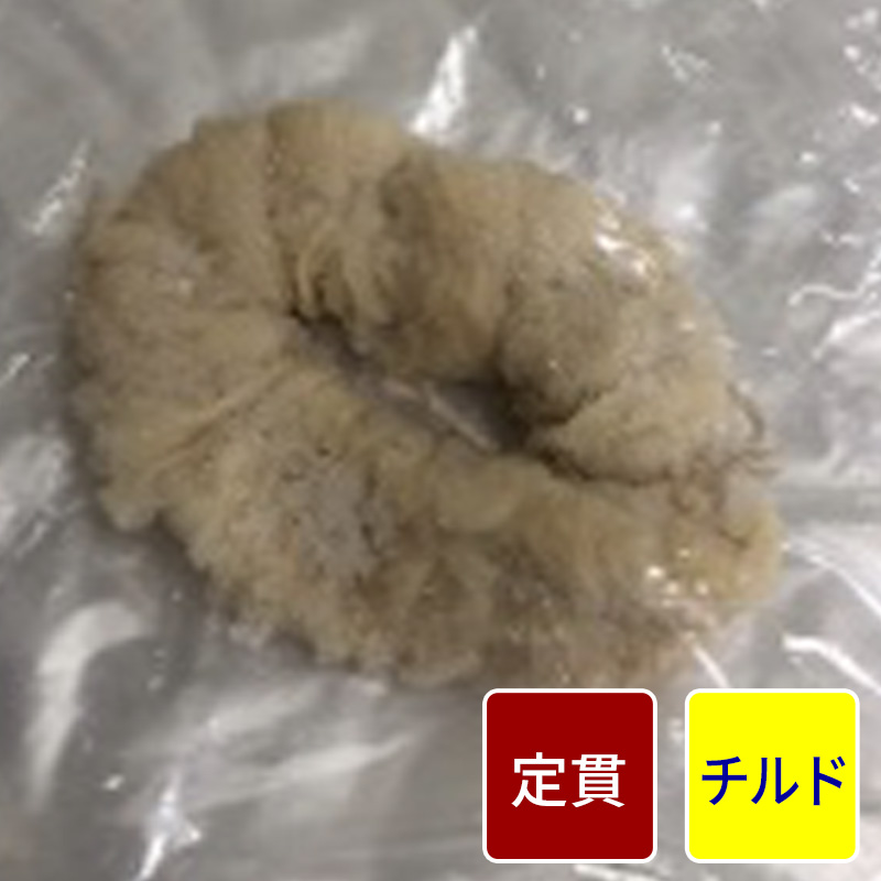 中国産 豚 腸 【定貫】【１本価格】